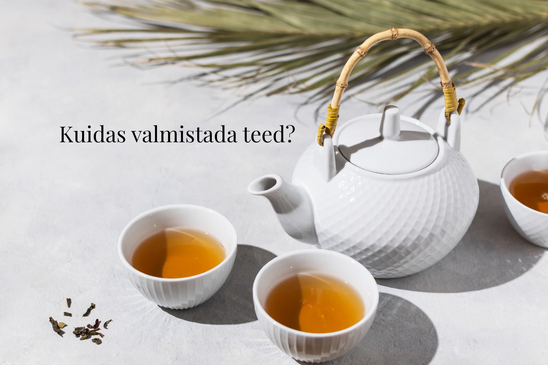 Kuidas valmistada teed? 1 Blogipiltide moodud 1920 x 1280